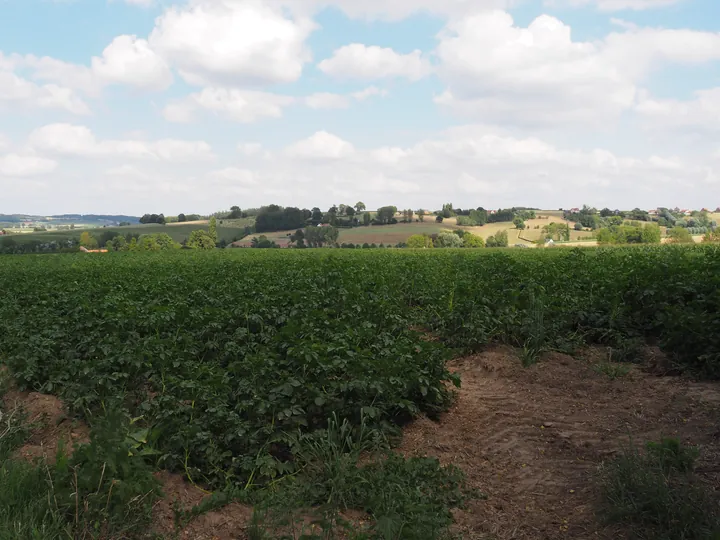 Kwaremont (Belgium)